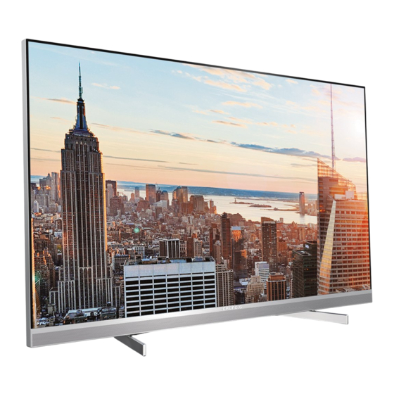 Grundig Fine Arts 55 FLX 9491 SL Manual