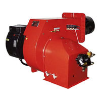 Ecoflam MAIOR P 400.1 AB Manual