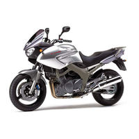 YAMAHA TDM900A Owner's Manual