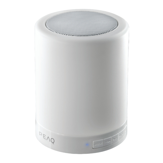 Peaq PPA44BT-W User Manual