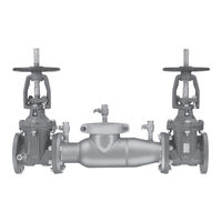 Watts AMES SILVER BULLET 3000SS Series Installation, Maintenance & Repair