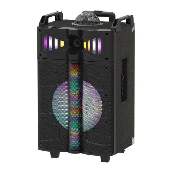 Sound Pro NDS-1207D User Manual
