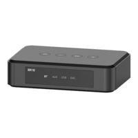 Arylic BR10 User Manual