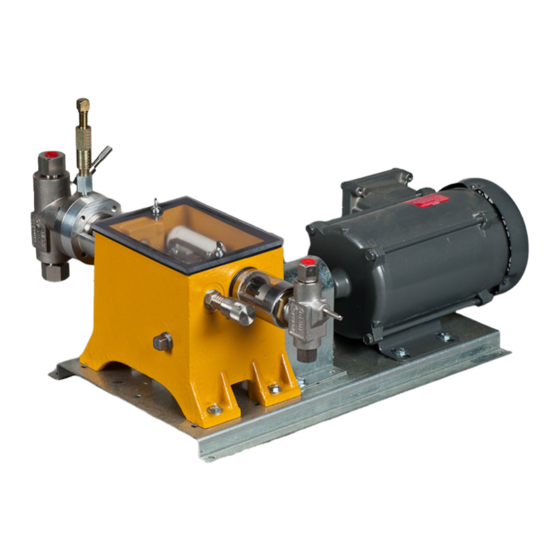Bruin Pumps BR4300 Maintenance And Inspection