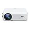 Vankyo Leisure 495W - Projector Manual