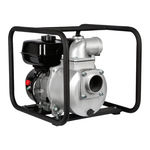 red lion 6RLAG-3LST Owner's Manual