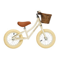 BANWOOD First Go vert mint Manual