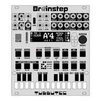 Tubbutec Brainstep User Manual