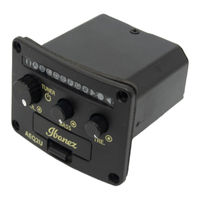 Ibanez AEQ-2U Information