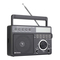 Radio Retekess TR629 User Manual