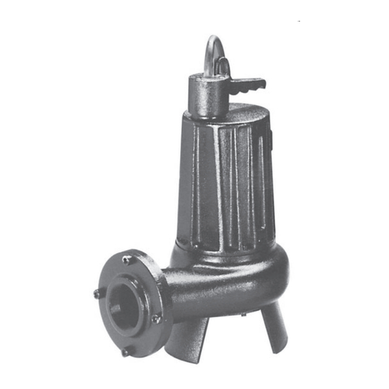 Pentair NOCCHI MINIVORT P2-1 Use And Maintenance Manual