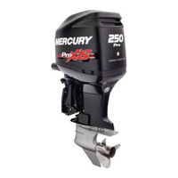 User Manuals: Mercury 250 Pro XS OptiMax Outboard Motor