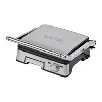 Trevidea G3FERRARI LAVICA INOX User Manual