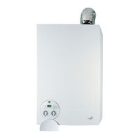 CHAFFOTEAUX NIAGARA DELTA 30 FF Instructions For Installation And Use Manual