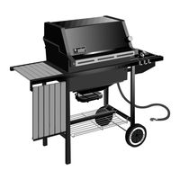 Weber 900 NG Owner's Manual