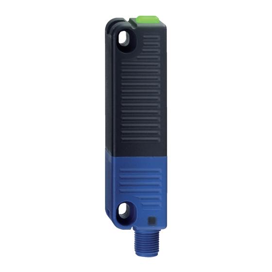 schmersal RSS 36-I2-D-R-ST-DU Manual