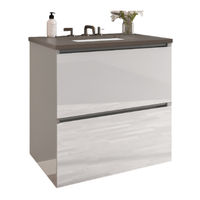 Robern CURATED CARTESIAN VANITY H4-2 DRAWER Manual