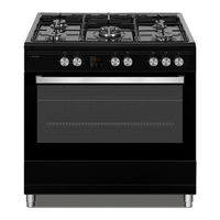 Willow WS90DFBL Instruction Manual