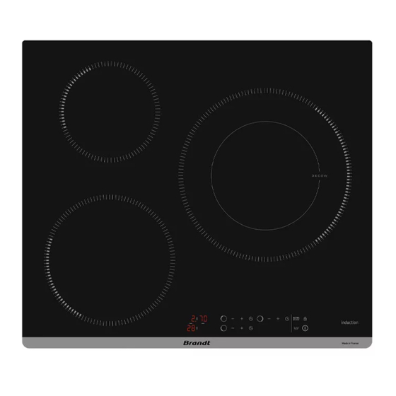 Brandt BPI1638KB Instruction Manual
