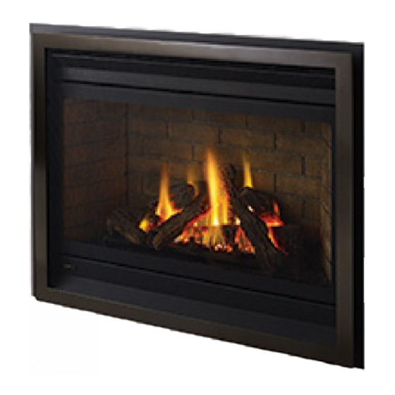 Regency Fireplace Products P36D-NG10 Manuals
