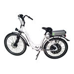 Leisure E-bike LEB-400 User Manual