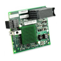 IBM Flex System FC3052 User Manual