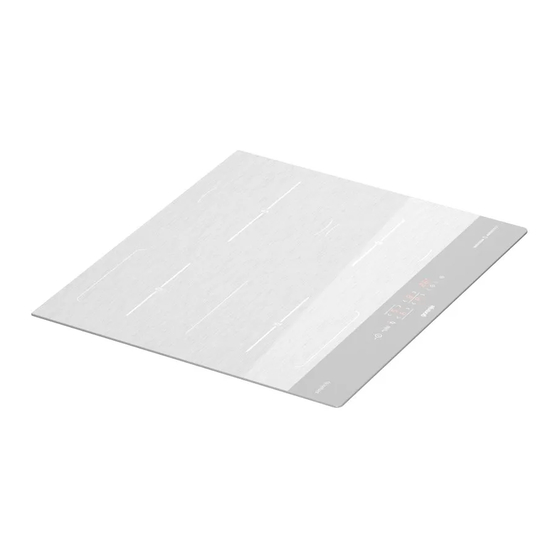 Gorenje Simplicity IT843SYW Detailed Instructions For Use