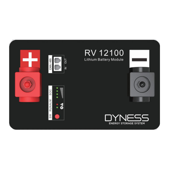 Dyness RV12100 User Manual