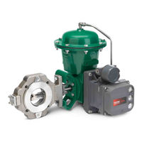 Fisher CV500 Instruction Manual
