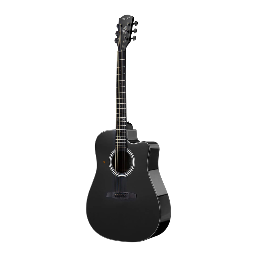 Fesley FD80, FDL60, FD60, FF60 - Acoustic-Electric Guitar Manual