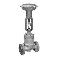 Fisher NotchFlo DST CL600 Instruction Manual