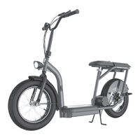 Razor ECOSMART CARGO Owner's Manual