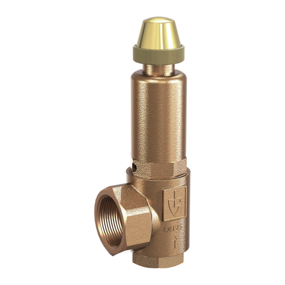 Goetze 851 Assembly And Maintenance Instructions
