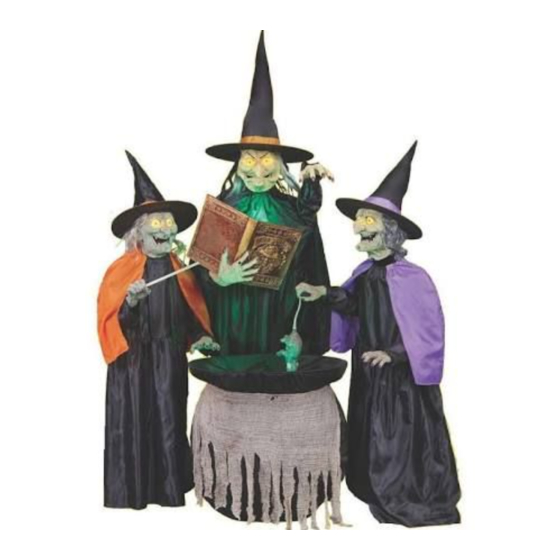 Home Accents Spellbinding Witch Sisters Easy Assembly And Operation Instructions