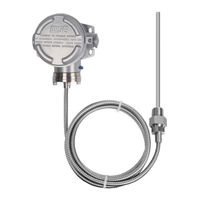 Wise T953 Manual
