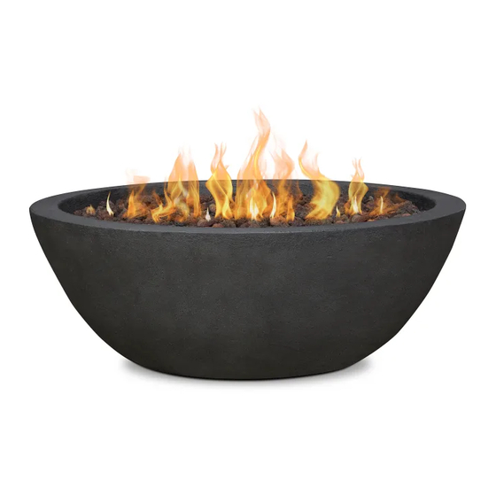 RealFlame Riverside C539LP Owner's Manual