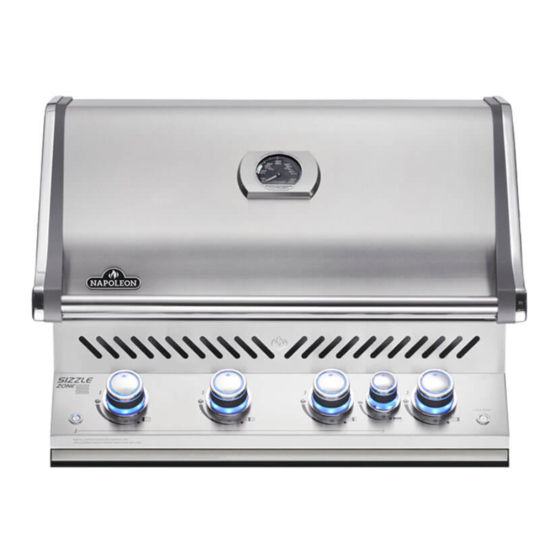 Napoleon BIPRO 500 Manual