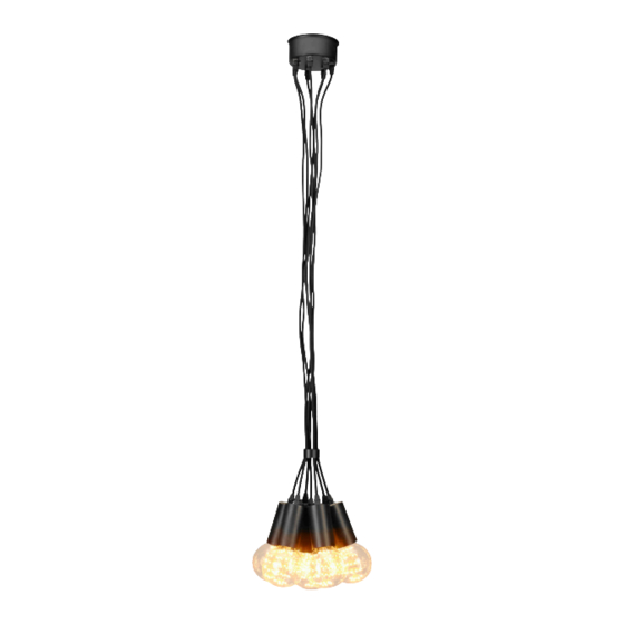 User Manuals: Anslut 425-444 Ceiling Lamp