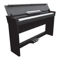 Ashton AURORA 1000 User Manual