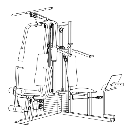 Weider WESY39310 User Manual