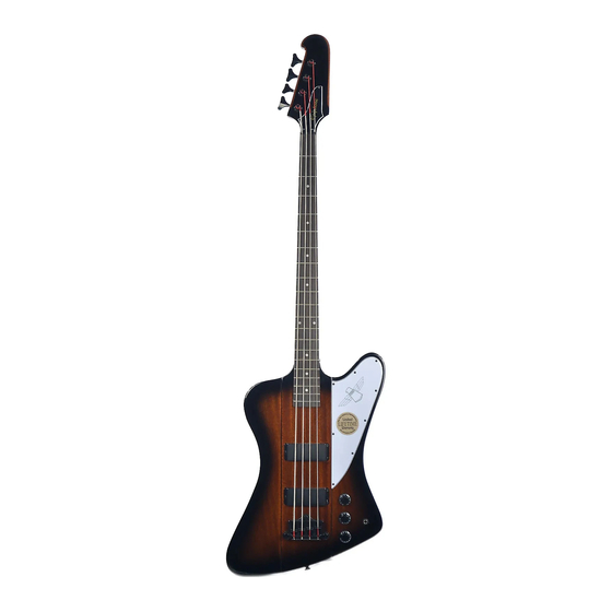 Epiphone Firefly 30 DSP Brochure