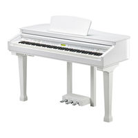 Kurzweil KAG-100 User Manual