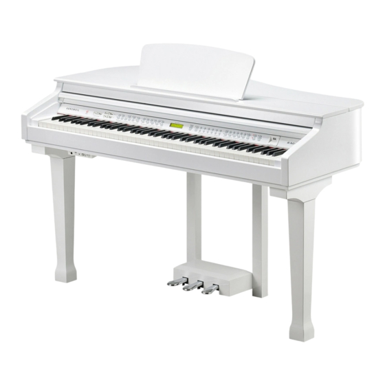 Kurzweil KAG-100 User Manual