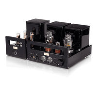 Cayin HA-300 MK2 User Manual