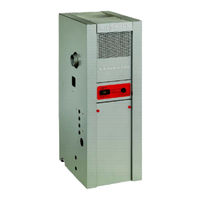 Viessmann ECV Series Installation And Service Instructions Manual