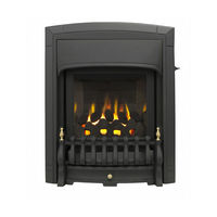 Valor Homeflame Classica Installation And Owner's Manual