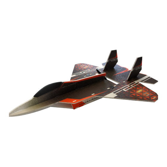 RC Factory F-22 Raptor Assembly Manual
