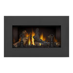 Napoleon Continental Fireplaces CDI-30N Installation And Operating Instructions Manual