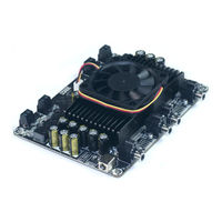 Sure Electronics T-AMP User Manual