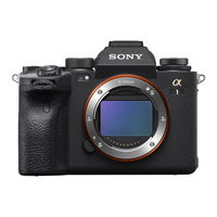 Sony ILCE-1 Help Manual